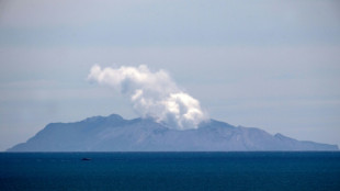 Trial opens over 2019 New Zealand volcano disaster