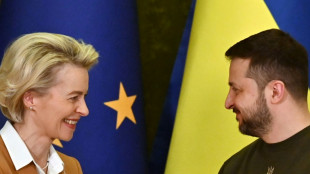 EU pledges support for Ukraine ahead of Kyiv summit