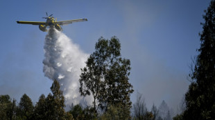 Portugal, Spain battle wildfires amid heatwave alerts