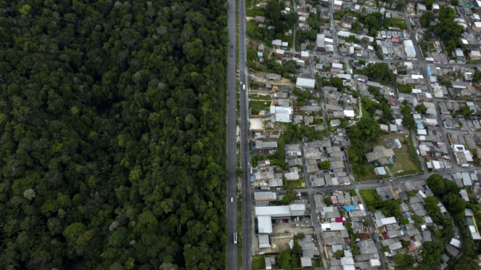 La deforestación en la Amazonía brasileña cae un 33% en el primer semestre de 2023