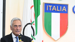 Euro 2024: Gravina 'Nazionale rappresenta comunità itinerante'