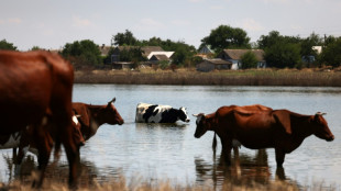 Devastation reigns one month on from Ukraine dam flood