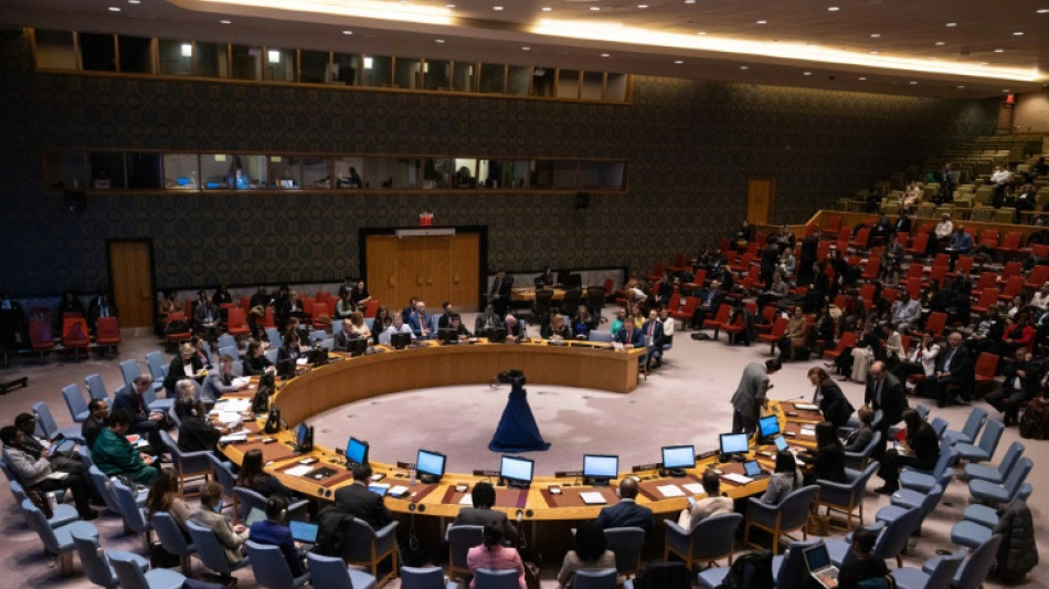 Women first to suffer, last to be heard: UN Security Council hears