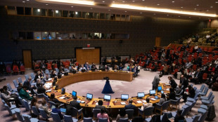 Women first to suffer, last to be heard: UN Security Council hears