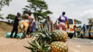 Au Kenya, des gardes du géant américain Del Monte accusés d'agressions, de viols et de meurtres