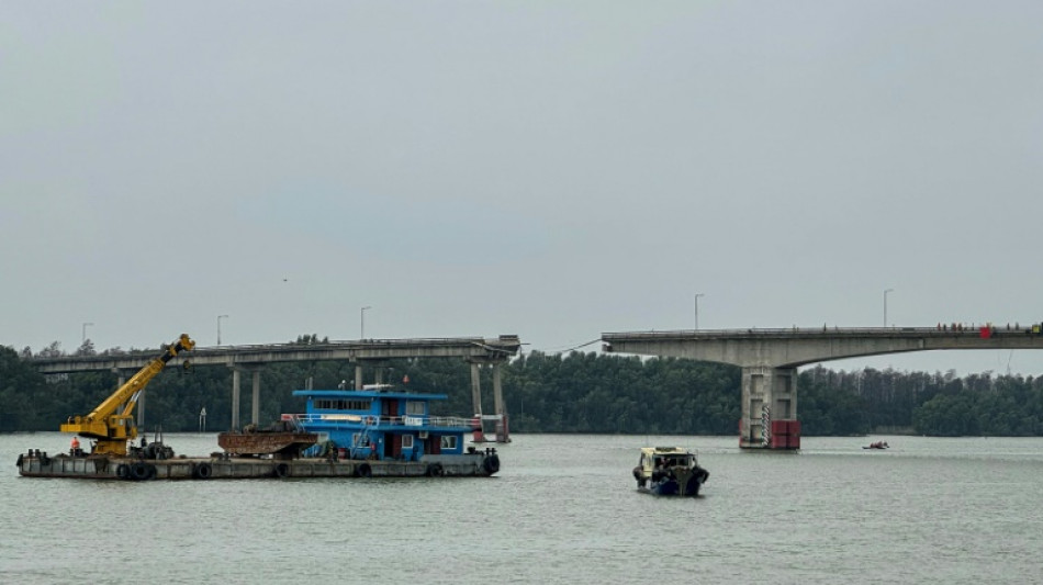 Five dead after cargo ship hits bridge in southern China