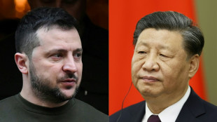 Beijing-led talks on Ukraine a 'trap' for the West: analysts