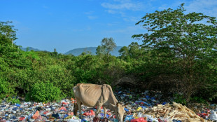 Burning trash a major source of plastic pollution: study