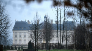 Saudi prince stays in 'world's most expensive home' during Paris trip