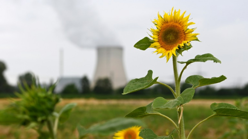 Ministerium: Laufzeitverlängerung brächte 225 Tonnen schwer radioaktiven Materials