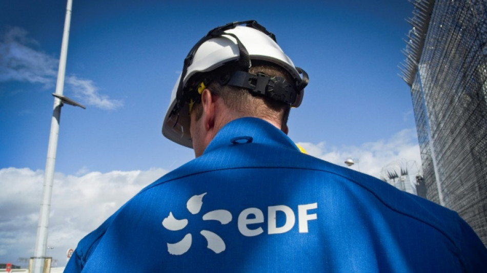 Renationalisation contestée d'EDF: la justice rejette le recours des petits actionnaires