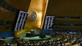 L'Assemblée générale de l'ONU réclame un "cessez-le-feu humanitaire" à Gaza