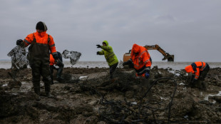 Charente-Maritime: nettoyer les parcs à huîtres pour réduire la pollution plastique