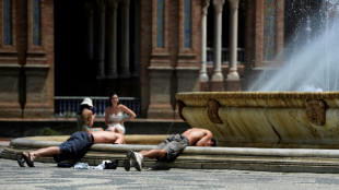 Portugal lucha contra los incendios y España está en alerta por el calor