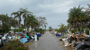 El cambio climático exacerbó la lluvia y los vientos del huracán Helene, según un estudio