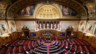 Budget 2024: le Sénat adopte la partie recettes de l'Etat, sans avoir pleinement convaincu l'exécutif