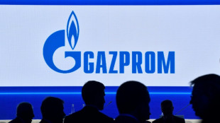 Russie: les exportations de gaz hors ancien bloc soviétique ont chuté de 45,5% en 2022