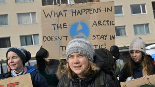 Thunberg, protesters demand 'climate justice' in Davos