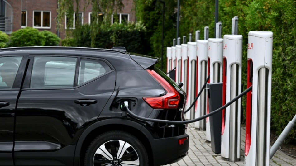 Un fabricant de pneus de voitures électriques distingué par le prix Earthshot