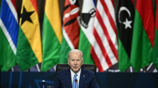 Joe Biden porte la voix de l'Afrique