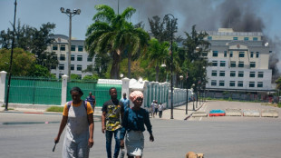 En Haïti, des gangs armés vandalisent des bâtiments culturels et éducatifs