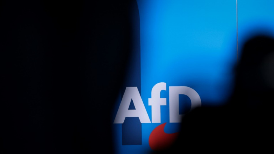 Studie: Brandmauer zur AfD steht - aber mit Rissen