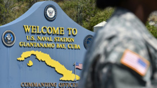 UN body faults US, other states over Guantanamo prisoner torture