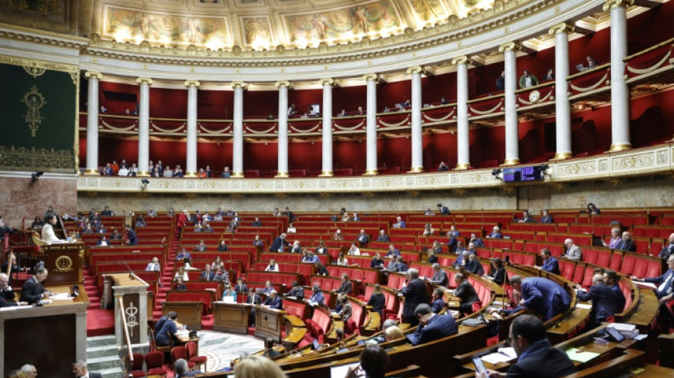 L'Assemblée vote deux textes LR sur les retraites agricoles et les violences conjugales