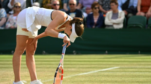 Wimbledon Day 8 - Who said what