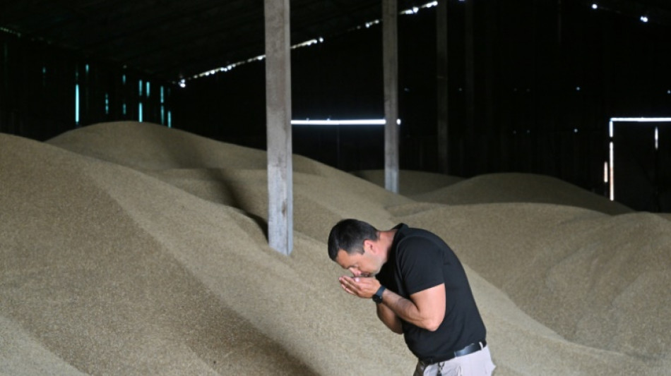 Céréales: l'amertume des agriculteurs ukrainiens