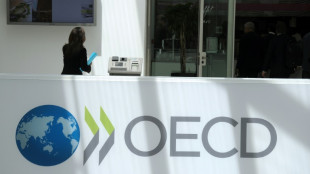 OECD calls for higher property taxes to fight debt