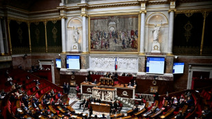 IVG dans la Constitution: la "liberté garantie" convainc l'Assemblée