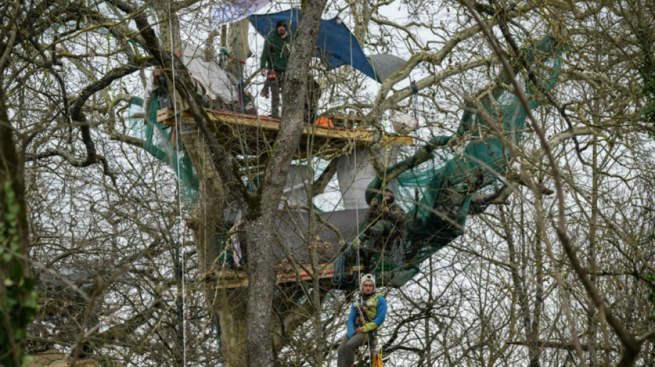 Sur le tracé de l'A69, trois "écureuils" perchés et un chantier qui continue d'avancer