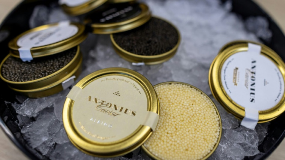 Un producteur polonais de caviar veut jeter aux oubliettes le "mythe russe" 