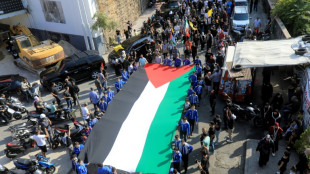 Bagdad, Téhéran, Beyrouth: manifestations en soutien aux Palestiniens