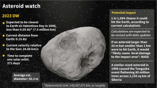 'No need to worry': Odds drop newly-found asteroid will hit Earth