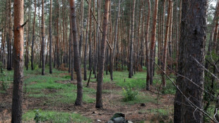 Plus de 100.000 soldats russes ont été tués ou blessés en Ukraine, selon les Etats-Unis