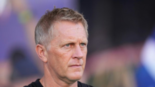 Islandês Heimir Hallgrimsson é o novo técnico da Irlanda