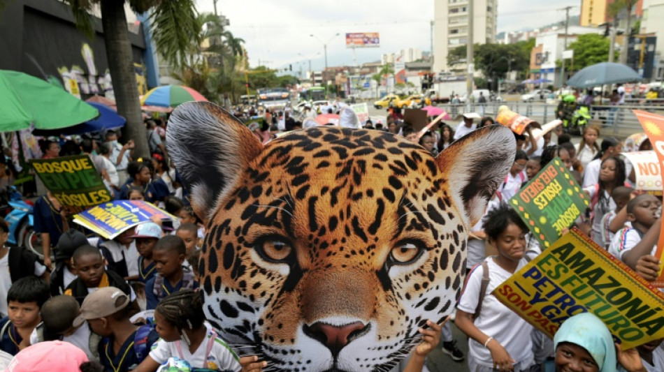 La "Zona Verde", el corazón vibrante de la COP16 en Cali