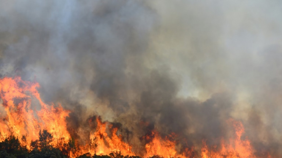 Incendie dans l'Hérault: le feu "ne progresse plus" après une nuit de lutte