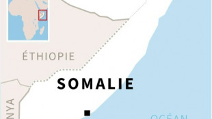 Somalie: fin du siège d'un hôtel à Mogadiscio, au moins 8 civils tués