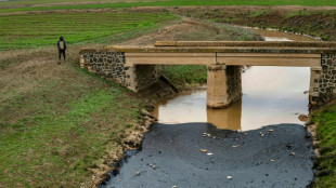 En Syrie, des fuites de pétrole polluent une rivière vitale pour les agriculteurs