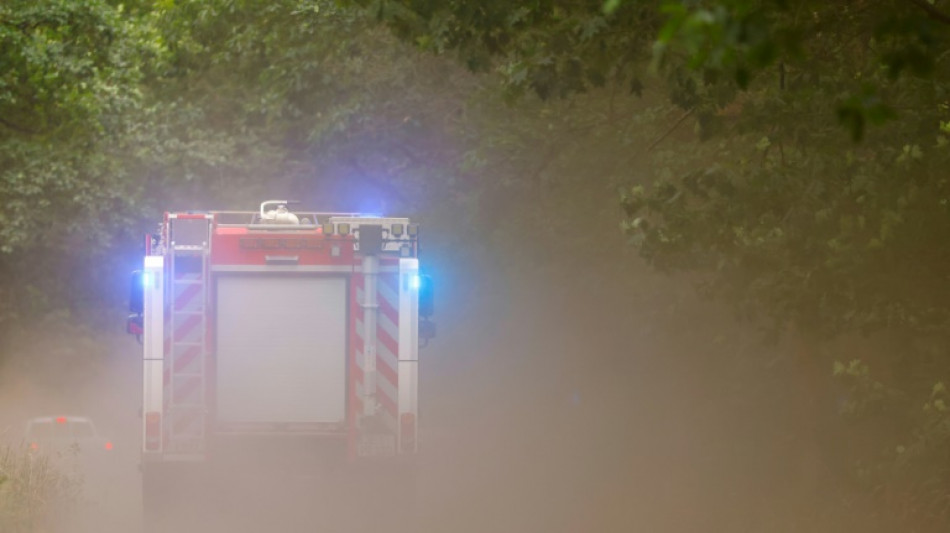 Feuerwehren bekämpfen zwei große Waldbrände in westlichem Mecklenburg-Vorpommern