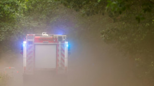 Feuerwehren bekämpfen zwei große Waldbrände in westlichem Mecklenburg-Vorpommern