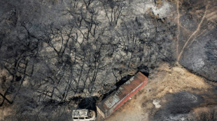 El termómetro vuelve a subir en Grecia, donde el fuego arrasa islas turísticas