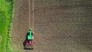 Glyphosat-Regeln bleiben bestehen - Keine Aufweichung im Bundesrat beschlossen 