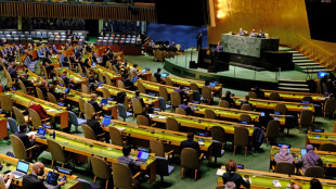 ONU: la Russie écartée du Conseil des droits de l'Homme des Nations unies