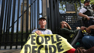 Climate activists target UK parliament