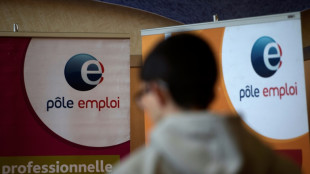 Le chômage en France se stabilise et confirme la bonne forme de l'emploi