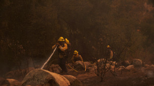 Violenti incendi in California, migliaia costretti ad evacuare